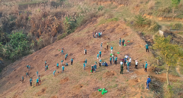 BIDV trồng cây xanh tại Lai Châu - 3