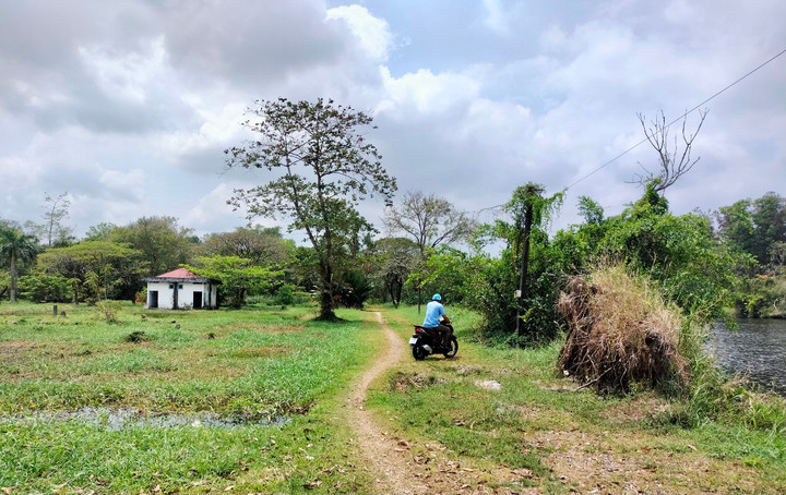 10 năm khởi công, dự án du lịch hơn 15ha ở Cà Mau vẫn là bãi đất hoang - 1