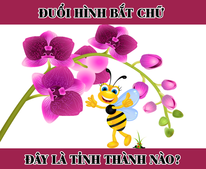 Đố mẹo: Đây là tên tỉnh thành nào của Việt Nam? - 1