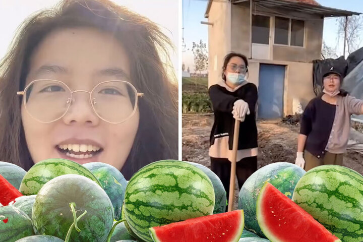 Bỏ việc lương cao ở thành phố về quê trồng dưa hấu - 1