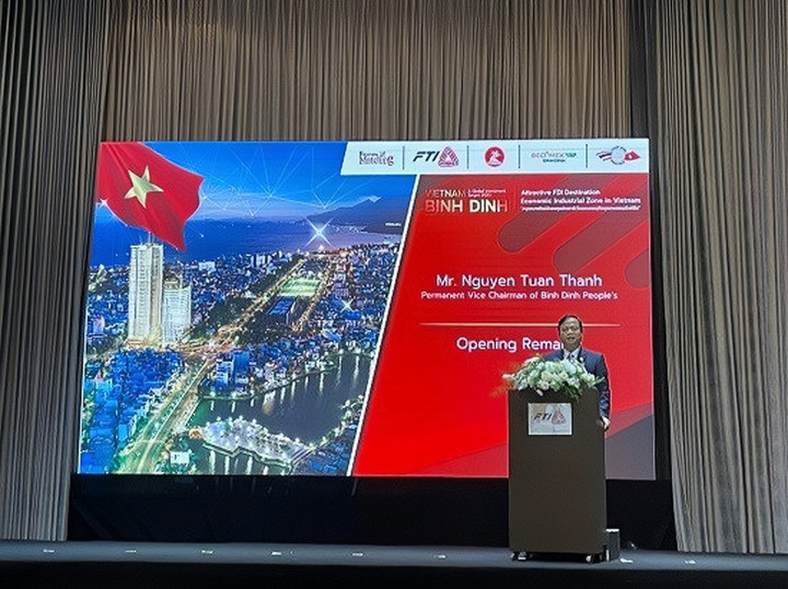 Bình Định tăng cường kết nối đầu tư với doanh nghiệp Thái Lan - 1