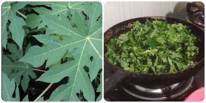 10 lợi ích tuyệt vời của lá đu đủ đối với sức khỏe - 1