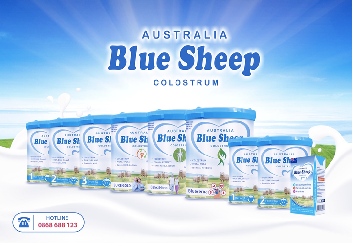 Blue Sheep Colostrum – Bổ sung MCT giúp bé tăng cân hiệu quả - 2