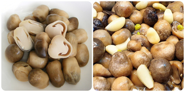 6 lợi ích bất ngờ của nấm rơm với sức khỏe bạn không nên bỏ qua - 1