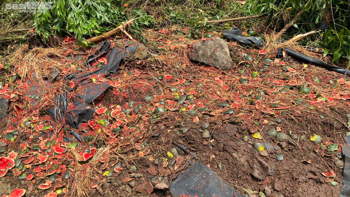 Hiện trường vụ lật xe chở dưa hấu khiến 9 người thương vong ở Phú Yên - 8