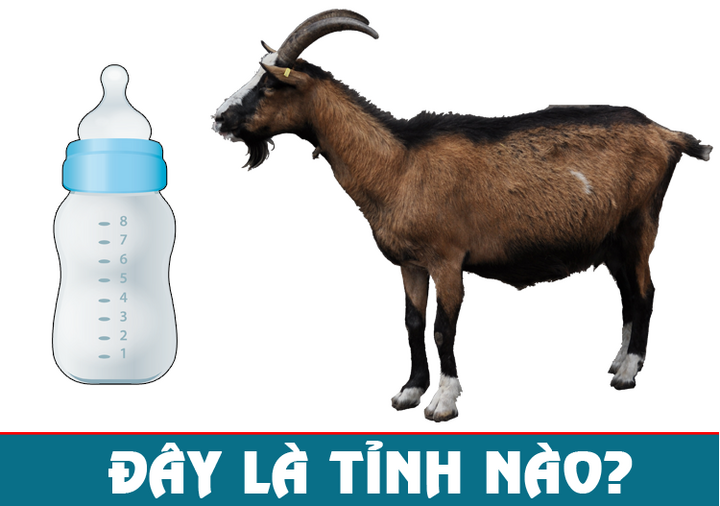 Đây là tên tỉnh nào ở Việt Nam? - 1