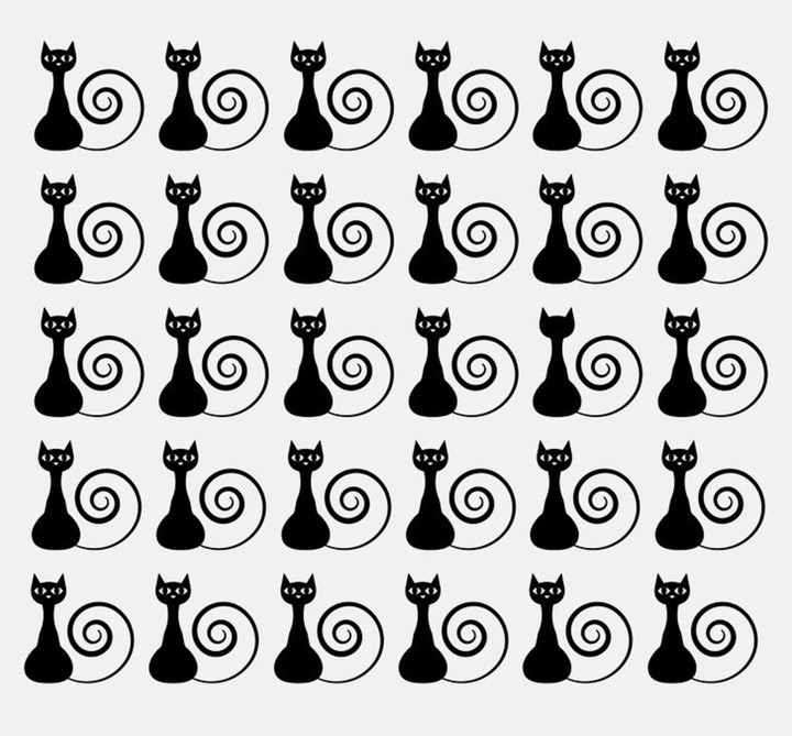 Đố bạn tìm được chú mèo khác biệt trong bức hình dưới đây - 1