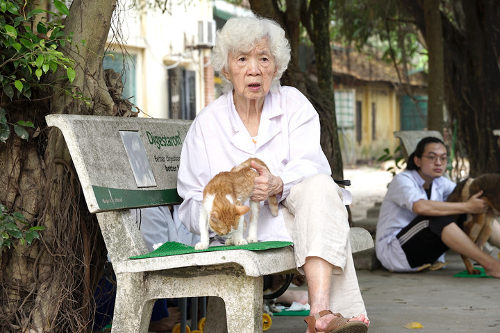 Phòng khám châm cứu miễn phí cho chó, mèo của cụ bà 90 tuổi - 4