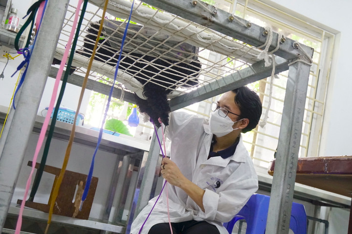 Phòng khám châm cứu miễn phí cho chó, mèo của cụ bà 90 tuổi - 13