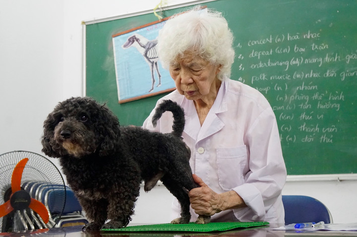 Phòng khám châm cứu miễn phí cho chó, mèo của cụ bà 90 tuổi - 6