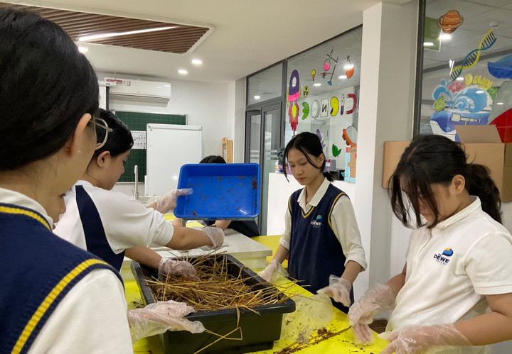 Học sinh lớp 6 khởi nghiệp với dự án trồng nấm sạch - 1