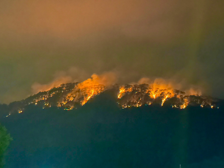 Lâm Đồng: Đã khống chế đám cháy rừng phòng hộ trên đèo Prenn - 2