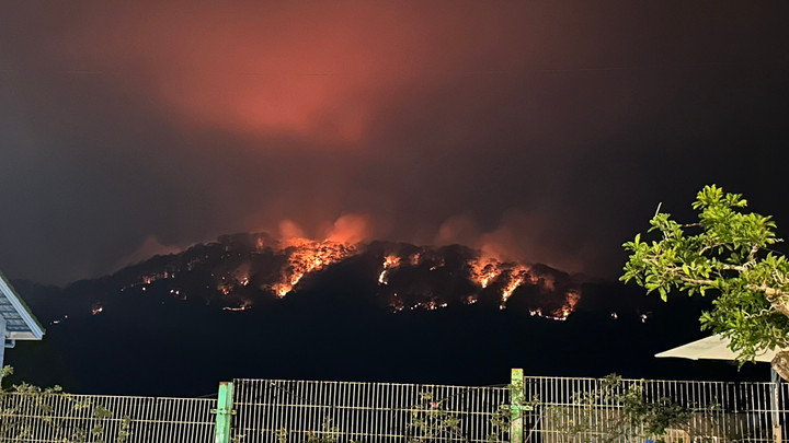 Lâm Đồng: Đã khống chế đám cháy rừng phòng hộ trên đèo Prenn - 1