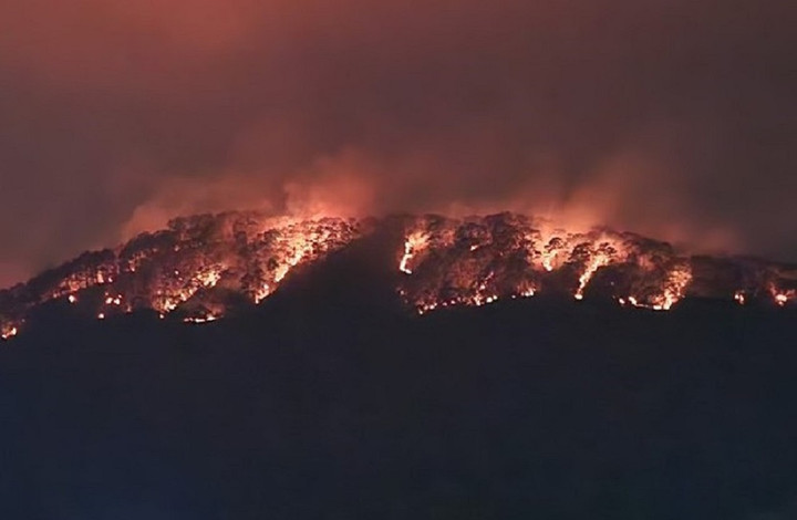 Lâm Đồng: Đã khống chế đám cháy rừng phòng hộ trên đèo Prenn - 5