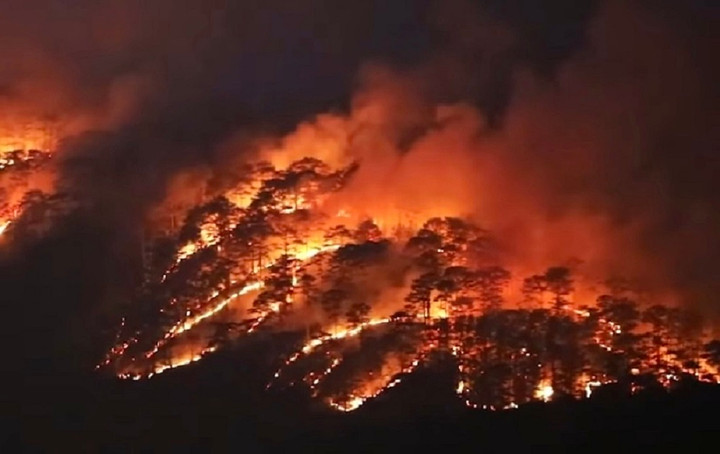 Cận cảnh rừng phòng hộ đèo Prenn Đà Lạt cháy đỏ trời - 5