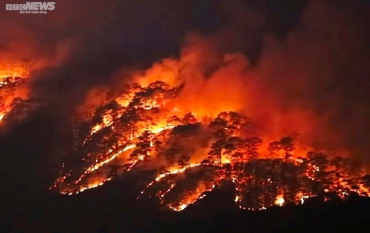 10 ha rừng bị ảnh hưởng sau vụ cháy rừng trên đèo Prenn Đà Lạt - 1