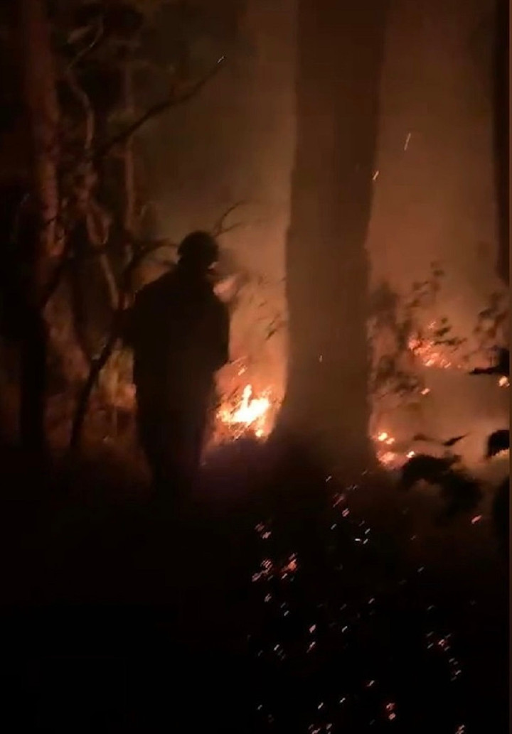 Cận cảnh rừng phòng hộ đèo Prenn Đà Lạt cháy đỏ trời - 6