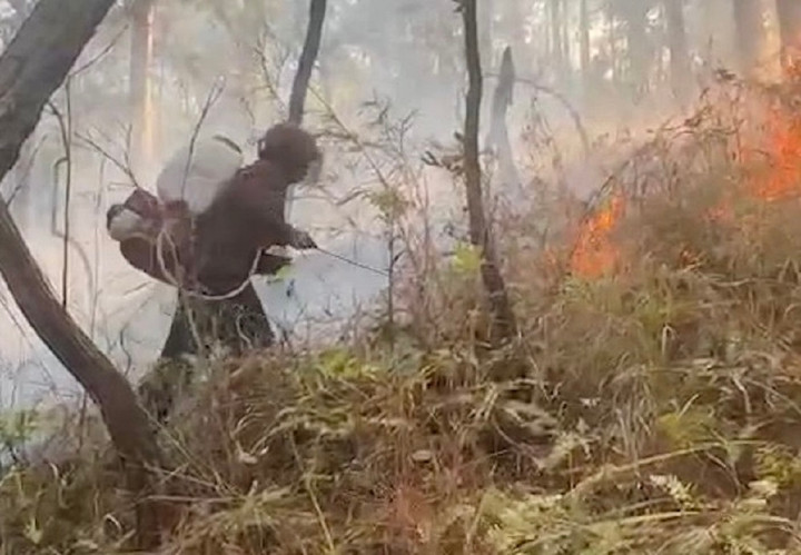 Cận cảnh rừng phòng hộ đèo Prenn Đà Lạt cháy đỏ trời - 2