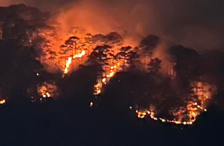 Cận cảnh rừng phòng hộ đèo Prenn Đà Lạt cháy đỏ trời - 7