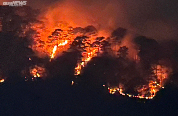 Cận cảnh rừng phòng hộ trên đèo Prenn Đà Lạt sau cơn 'bão lửa' - 9