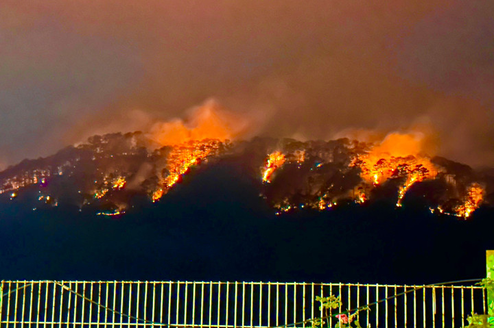 Cận cảnh rừng phòng hộ đèo Prenn Đà Lạt cháy đỏ trời - 4