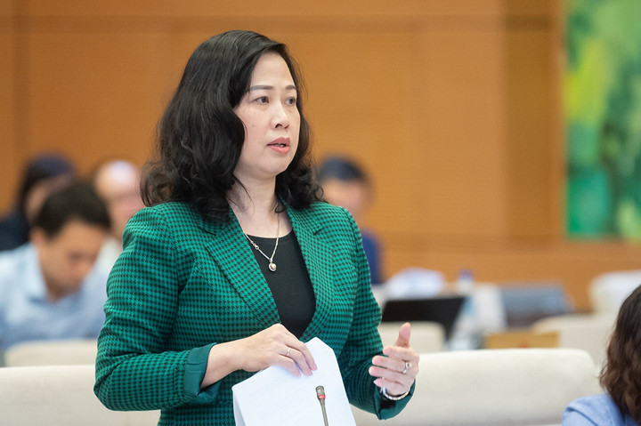 Thứ trưởng Bộ Tài chính: Ngân sách nhà nước không hỗ trợ các chuyến bay giải cứu - 2