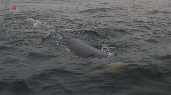 Triều Tiên gây bất ngờ khi ra mắt ‘tàu không người lái tấn công hạt nhân’ - 2