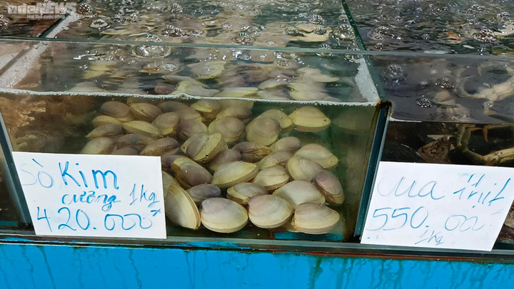 Kiểm tra nhà hàng hải sản ở Khánh Hòa bị tố 'chặt chém' 3 khách Trung Quốc - 2