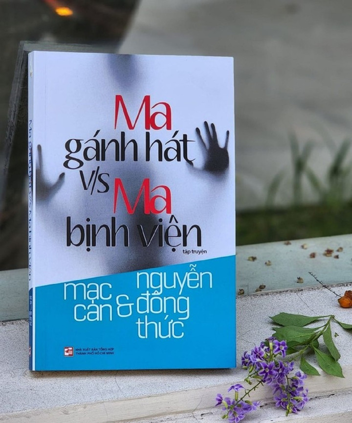 Nghệ sĩ Mạc Can sắp vào Trung tâm dưỡng lão - 2