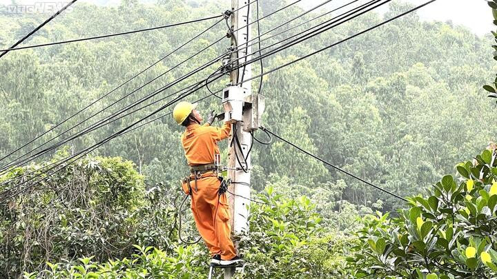 Cưỡng chế 58 nhà hàng, quán nhậu trái phép trên bán đảo Sơn Trà - 2