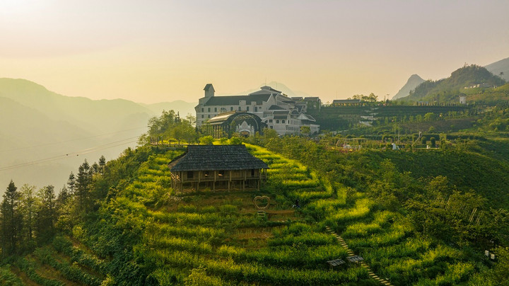 Đến Sun World Fansipan Legend chiêm ngưỡng thiên đường hoa đẹp như mơ - 1