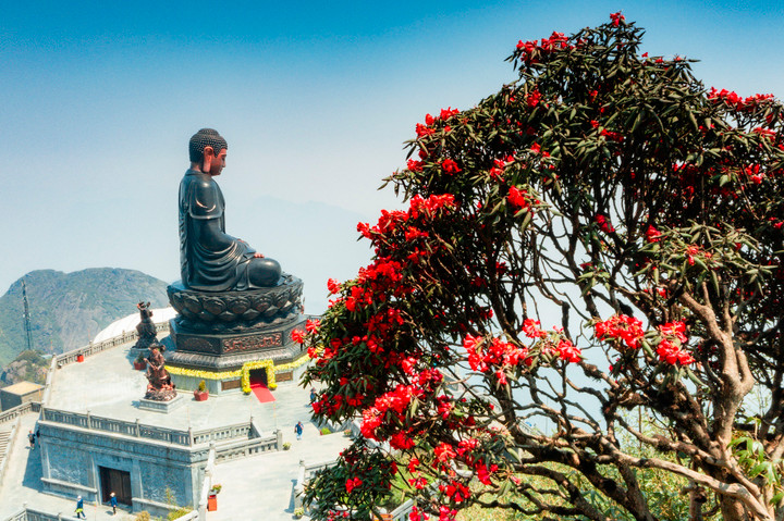 Đến Sun World Fansipan Legend chiêm ngưỡng thiên đường hoa đẹp như mơ - 7