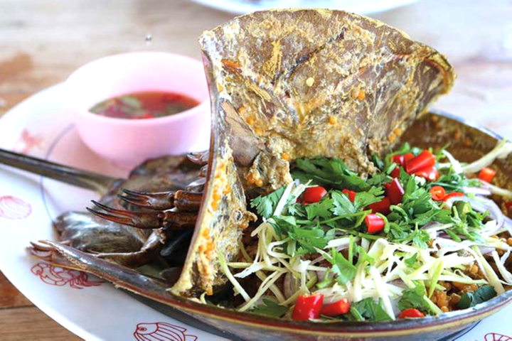 Đặc sản sam biển Hạ Long, ăn một lần để nhớ cả đời - 4