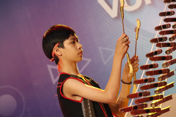 Nhiều thí sinh xuất sắc tại sơ khảo Tài năng nhí Việt Nam khu vực miền Trung - 4