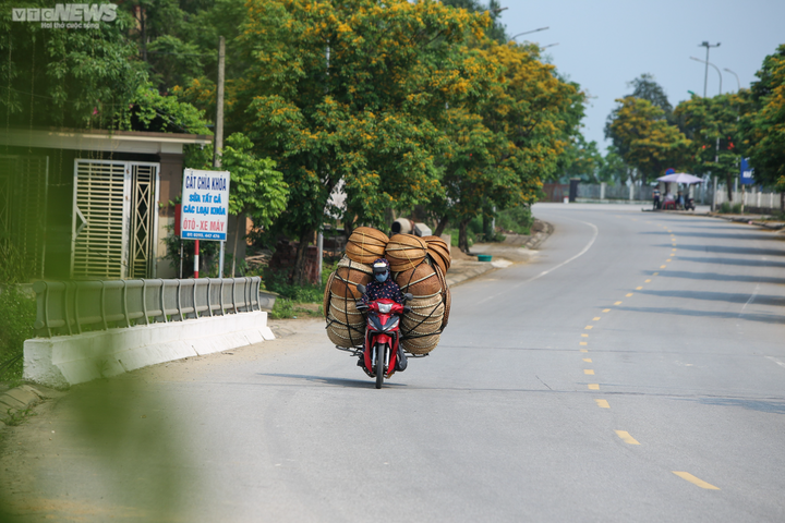 Khu di tích Ngã ba Đồng Lộc rực sắc hoa vàng và hương sắc - 13