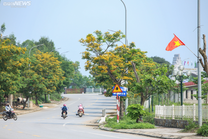 Khu di tích Ngã ba Đồng Lộc rực rỡ hương hoa vàng - 9