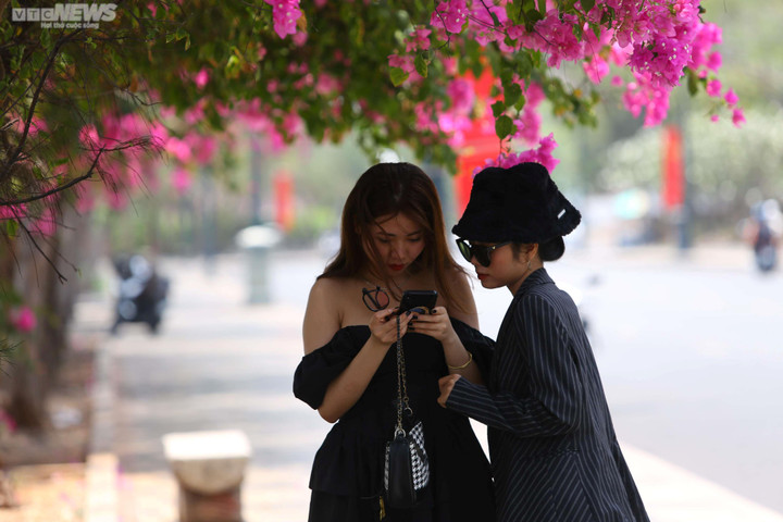 Ngắm cung đường OneWay Marathon Vũng Tàu 2023 ngợp sắc hoa giấy - 7