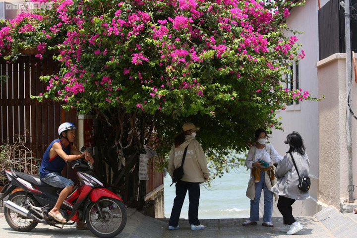 Ngắm cung đường OneWay Marathon Vũng Tàu 2023 ngợp sắc hoa giấy - 10