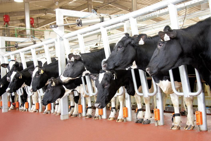 Thương hiệu Việt gây ấn tượng với đơn vị định giá thương hiệu hàng đầu thế giới - 4