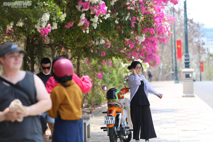 Ngắm cung đường OneWay Marathon Vũng Tàu 2023 ngợp sắc hoa giấy - 8