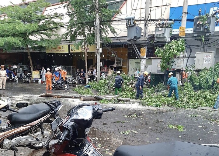 Cây xanh bật gốc đè người phụ nữ đi đường ở Đắk Lắk - 5