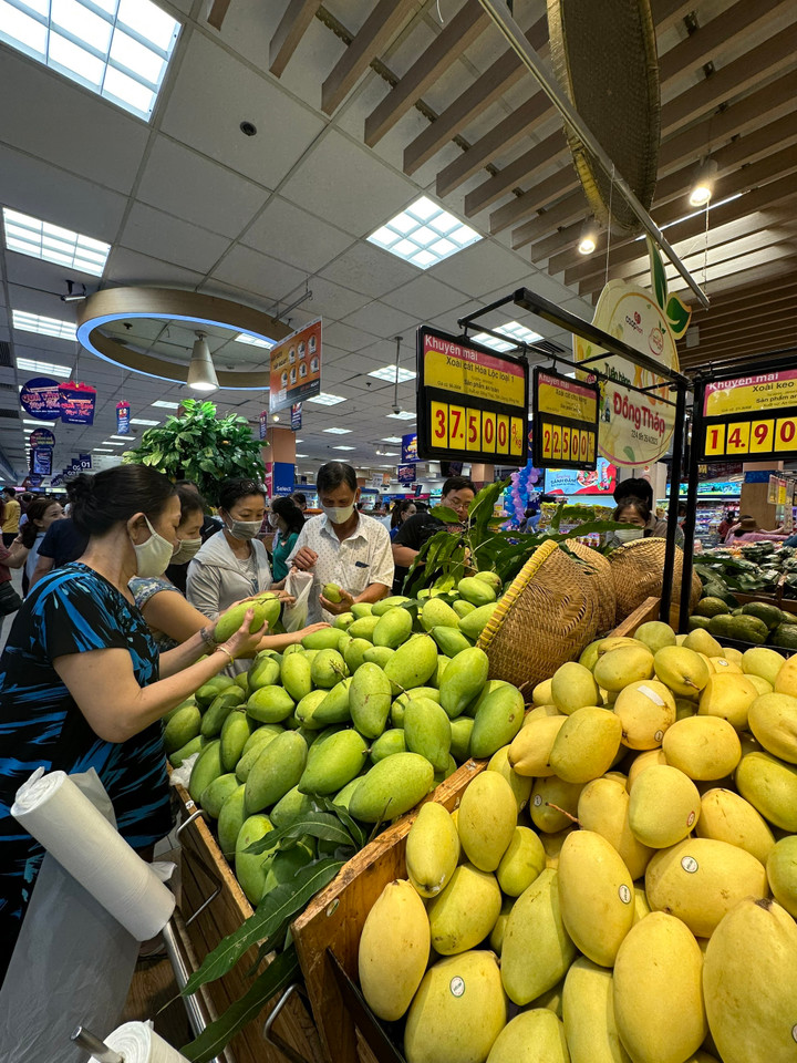 Giá bán siêu tốt, Co.opmart dự ước tiêu thụ hơn 200 tấn xoài Đồng Tháp - 2