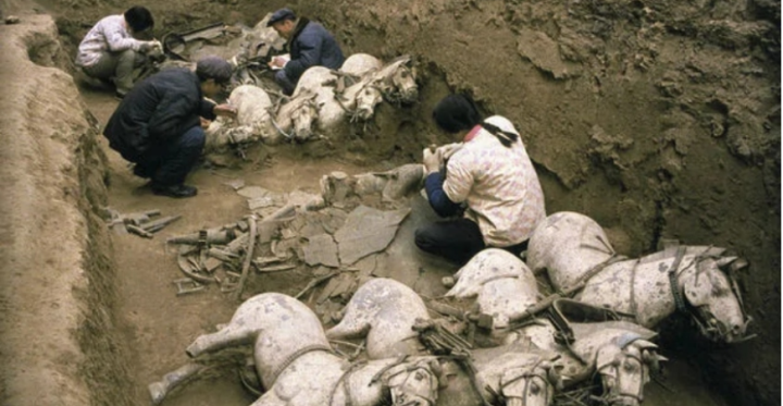 Những bộ xương kỳ lạ trong lăng Tần Thủy Hoàng: Loài vật cũng bị tuẫn táng - 2