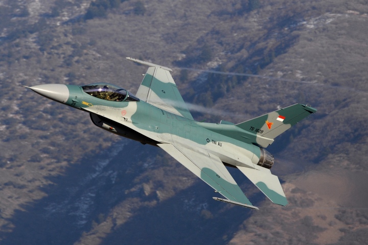 Bức ảnh thú vị của không quân Indonesia: Su-30 to gấp đôi F-16 - 4