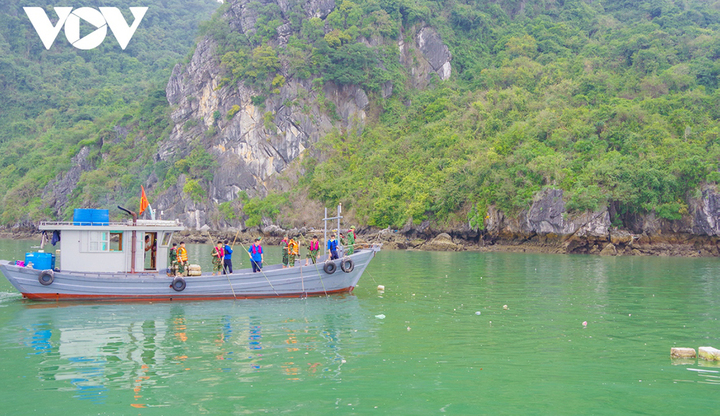 Thu gom 7.000m3 phao xốp trên vịnh Hạ Long - 1