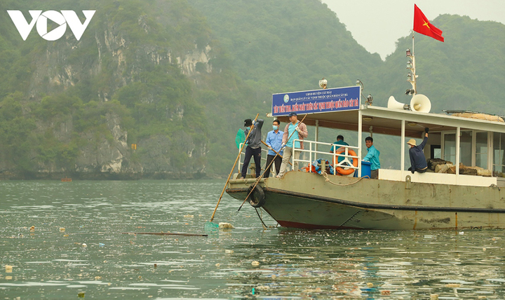 Thu gom 7.000m3 phao xốp trên vịnh Hạ Long - 5