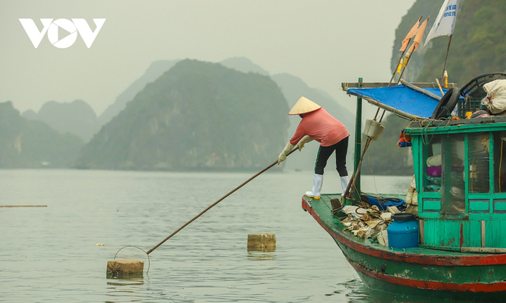 Thu gom 7.000m3 phao xốp trên vịnh Hạ Long - 6