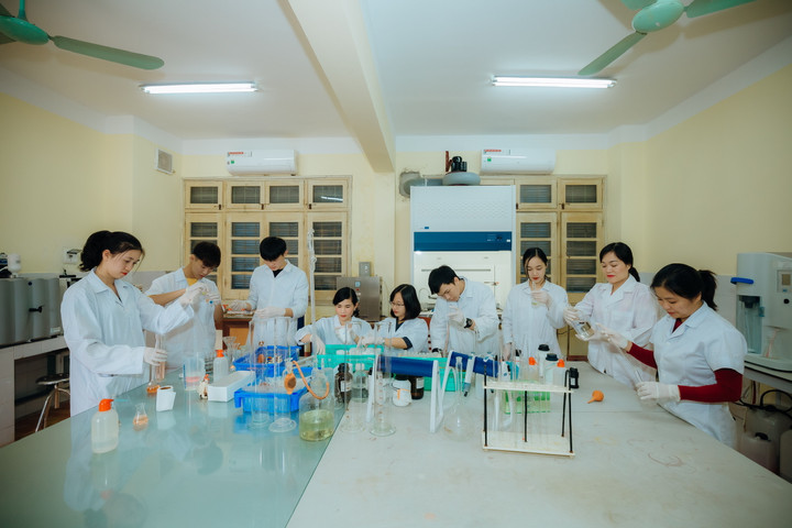 Giảng dạy song ngữ đáp ứng 'chuẩn tuyển dụng' - 3