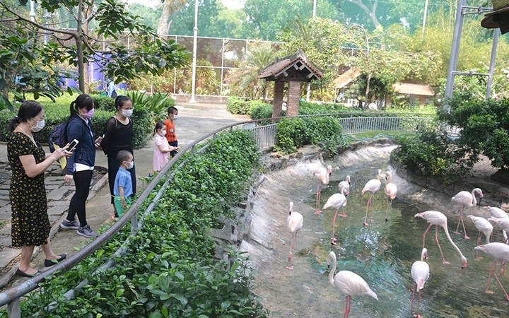 Du lịch tại chỗ ở Sài Gòn, 500.000 đồng đi chơi thả ga - 3