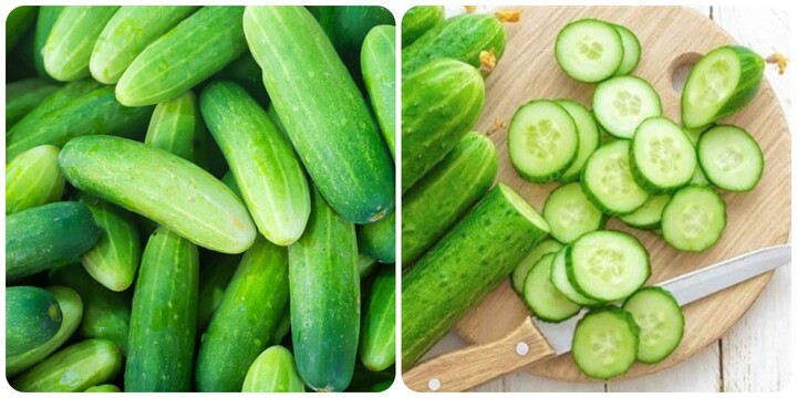 Cách chọn dưa chuột ngon, thơm, đặc, không đắng - 1